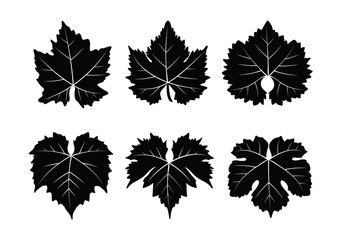 collection_of_vector_wine_leaves