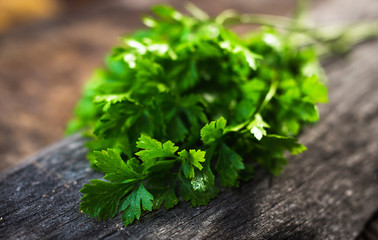 Fresh green parsley on  wooden background