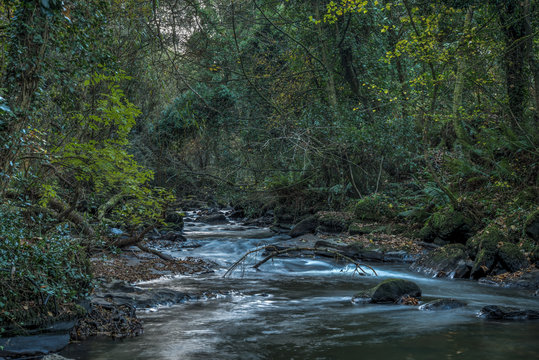 Clare glens 09-11-2016 #1