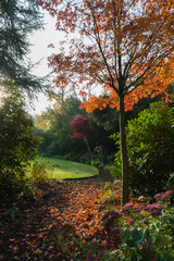 Garten im Herbst