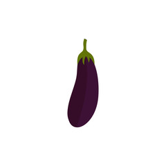 eggplant icon, vector aubergine icon, isolated vegetables symbol
