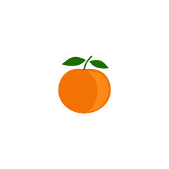 Orange icon, vector orange icon, isolated orange sign.