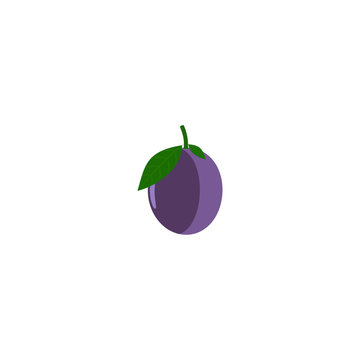 plum whole on white background,plum icon