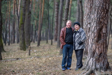 Fototapeta premium Old couple walking in the forest. Having a good time together. Smiling and talking on autumn or spring