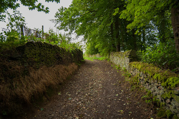 FOOTPATH AT THE UPPER DEARNE WOODLANDS, WEST YORKSHIRE, ENGLAND © DawidDobosz