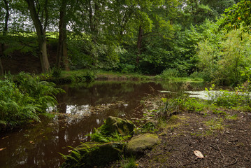 YOU CAN TAKE YOUR TIME IN THE UPPER DEARNE WOODLANDS, WEST YORKSHIRE, ENGLAND