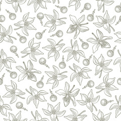 Seamless pattern with lemon flowers and buds on white background. Vector hand drawn pattern. Good for packing design, textile industry, wallpapers and backgrounds.