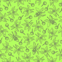 Seamless pattern with lemon flowers and buds on green background. Vector hand drawn pattern. Good for packing design, textile industry, wallpapers and backgrounds.