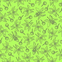 Seamless pattern with lemon flowers and buds on green background. Vector hand drawn pattern. Good for packing design, textile industry, wallpapers and backgrounds.