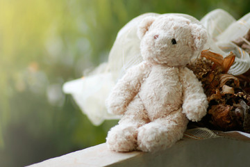 Teddy Bear toy alone