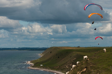 Paragliding at the coastline of Ales Stenar