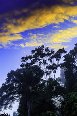 Fototapeta premium Awarradam in the morning