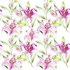 Fototapeta na wymiar Lily in the summer garden. watercolor art. pattern