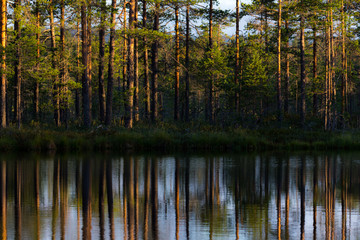 sunset at a lake with trees