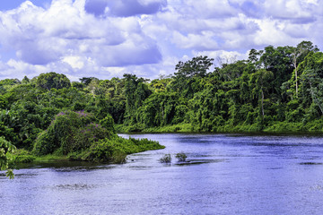 Palumeu in Surinam