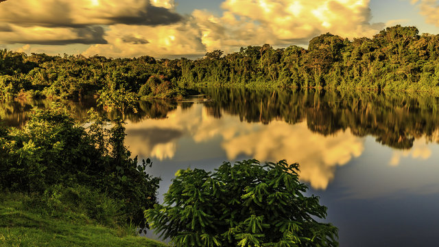 Palumeu in Surinam
