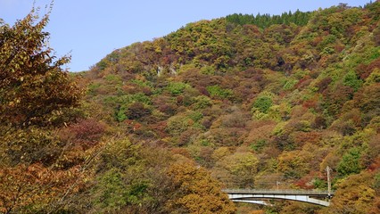 碓氷峠の紅葉シーズン