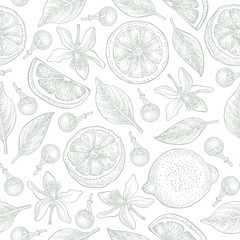 Seamless pattern with lemons, flowers and leaves on white background. Vector hand drawn pattern. Good for packing design, textile industry, wallpapers and backgrounds.