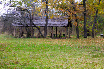 Picnic site in autumn forest