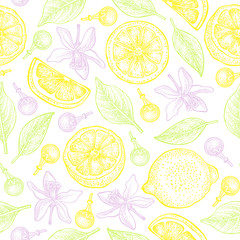 Seamless pattern with lemons, flowers and leaves on white background. Vector hand drawn pattern. Good for packing design, textile industry, wallpapers and backgrounds.