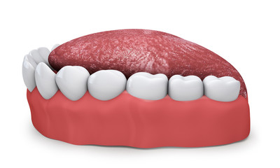 jaw with teeth and tongue on a white background 3d render
