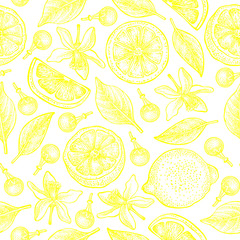 Seamless pattern with lemons, flowers and leaves on white background. Vector hand drawn monochrome pattern. Good for packing design, textile industry, wallpapers and backgrounds.
