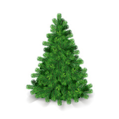 Detailed Christmas tree on transparent background - 126258122