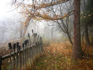 Fototapeta premium MISTY AFTERNOON IN THE MOUNTAINS 