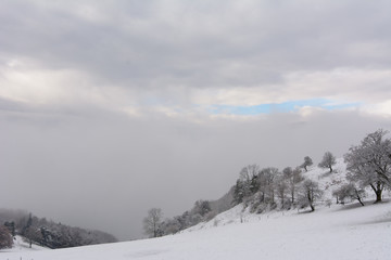 Fototapeta na wymiar Winterlandschaft Schnee in der Natur im Winter 