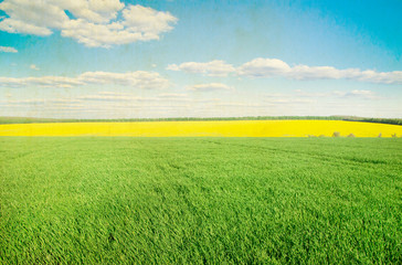 Fototapeta premium field