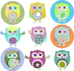 Fotobehang colorful owls with nine color combinations isolated on white © fotoscool