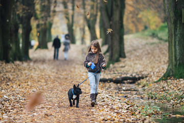 Naklejka na ściany i meble Beautiful and gorgeous little girl walking and enjoying autumn outdoor in city park with her funny black French bulldog puppy.