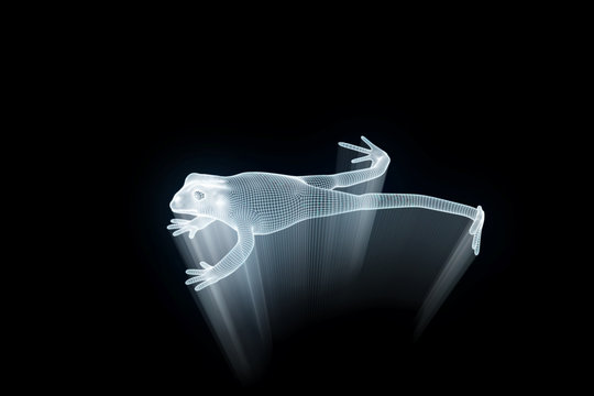 Frog in Hologram Wireframe Style. Nice 3D Rendering

