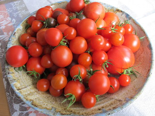 enterfrische tomaten