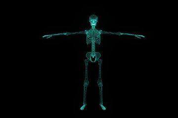 Human Skeleton Wireframe Hologram in Motion. Nice 3D Rendering
- 126262189