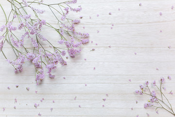 Beautiful pink flowers on wooden background.