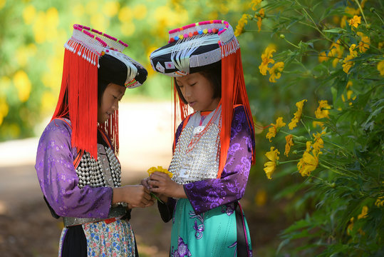 Two young Thai lahu tribe girls in custom dress play with yellow flower 