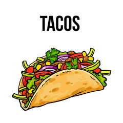 Taco, traditional Mexican food, ground meet with vegetables in folded tortilla, sketch style vector illustration on white background. Hand drawn Mexican taco - corn or wheat tortilla with meat filling