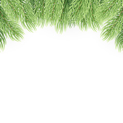 Christmas tree branches design element