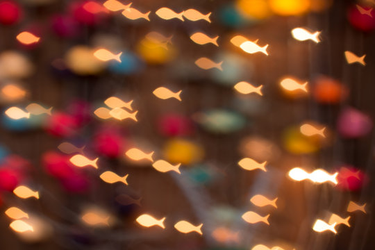 defocus bokeh Christmas light filtered fish abstract background.
