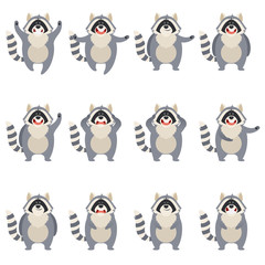 Set of flat racoon icons