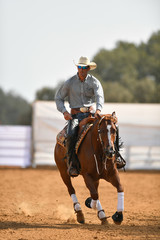 The front view of a rider in cowboy chaps, boots and hat on a horseback performs an exercise during...