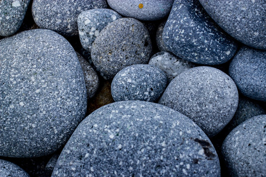 Common stones in the eastern coast of Taiwan, Porphyritic Andesite.