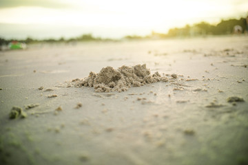 Sandy beach at sunset.