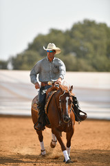 The front view of a rider in cowboy chaps, boots and hat on a horseback performs an exercise during...