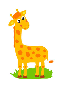 Giraffe. Vector Standing Giraffe. African Animal Jolly Giraffe. Zoo, Circus. African Giraffe Figurine. Tall Giraffe. Picture On A White Background.