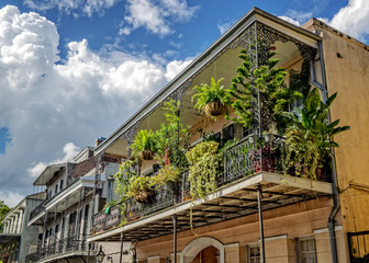 Balcony with Plants and Cloudy Skies in the French Quarter