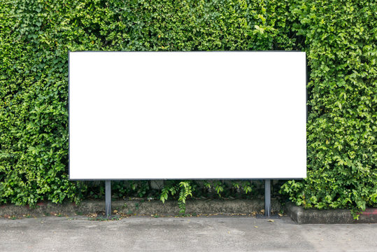 White Billboard On Spring Summer Green Leaves