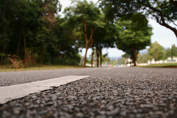 Road from the ground level - shallow depth of field and trees bokeh.