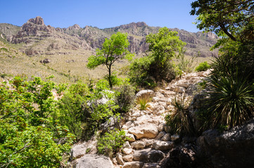 Guadalupe Mountains National Park